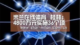 米兰在线体育-桂林：4800万元实施36个项目　推进建设智慧