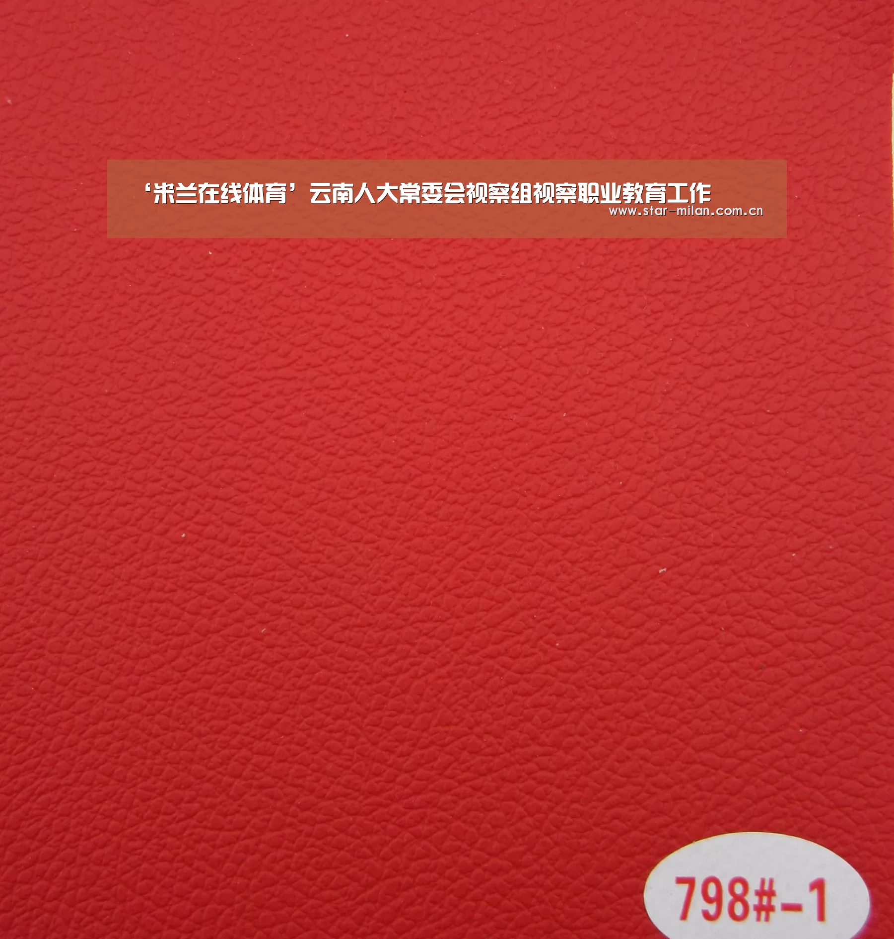 ‘米兰在线体育’云南人大常委会视察组视察职业教育工作(图3) 米兰体育官网