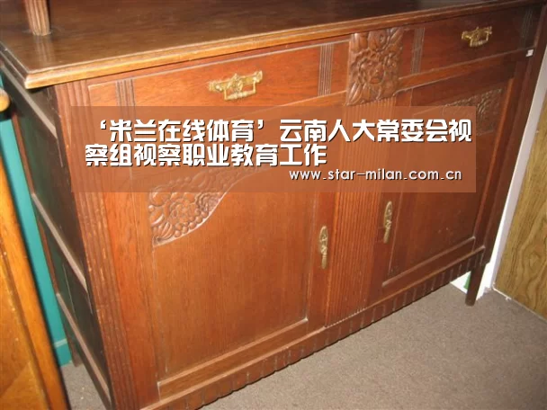 ‘米兰在线体育’云南人大常委会视察组视察职业教育工作(图2) 米兰在线体育